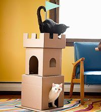 arbre a chat en carton